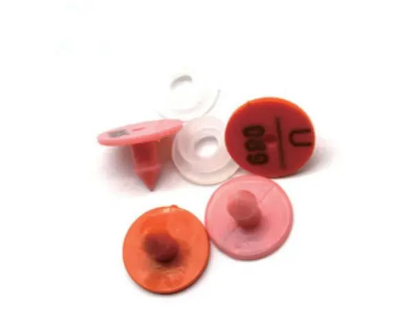 Experimental Rabbit Visual Ear Tag