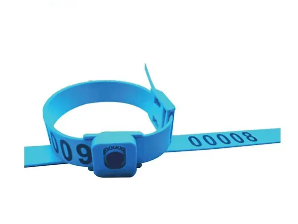 Marking Collar for Laboratory Dogs