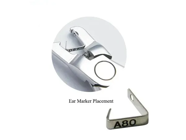 Ear Studs for Lab Rats