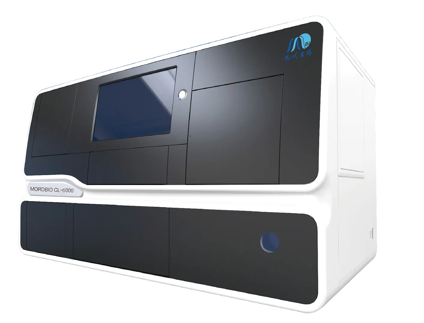 Fully Automated Chemiluminescence Immunoassay Analyzer CL-6000